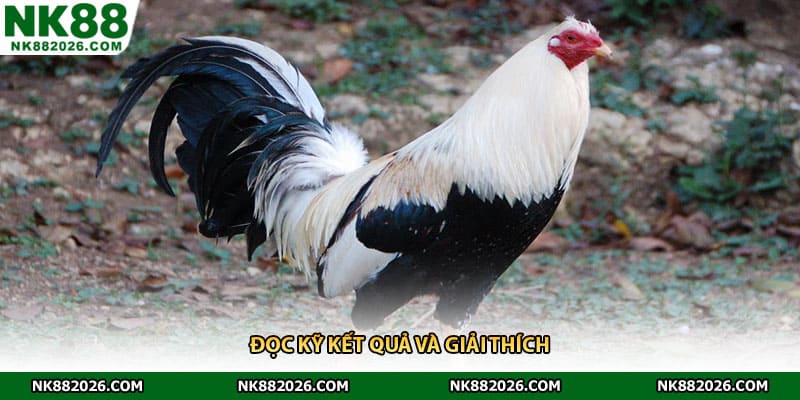 Đọc kỹ kết quả và giải thích