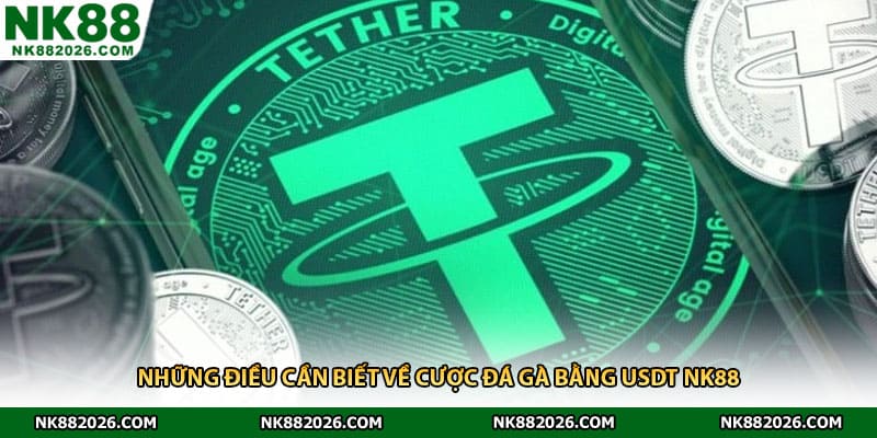 Những điều cần biết về cược đá gà bằng USDT NK88